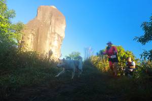 BIB: 
                            <button type="button" onclick="openModal(19083856)" class="btn btn-primary btn-sm float-right btn-popup" data-toggle="modal" data-target=".modal-high-quality">
                        <i class="fas fa-shopping-cart"></i> Add to Cart
                    </button>
                                            <button type="button" onclick="isThisMe(19083856, true)" class="btn btn-success btn-sm float-right btn-popup btn-isme hidden" data-toggle="tooltip" data-placement="bottom" title="นี่คือรูปของคุณใช่ไหม คลิกที่นี่เพื่อเอาเข้าอัลบั้ม">
                        <i class="fas fa-plus"></i> Add to album
                    </button>
                    <button type="button" onclick="isThisMe(19083856, false)" class="btn btn-warning btn-sm float-right btn-popup btn-isnotme hidden">
                        <i class="fas fa-ban"></i> Remove from album
                    </button>